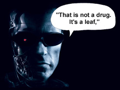 Arnold Schwarzenegger