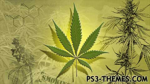 ps3-marijuana