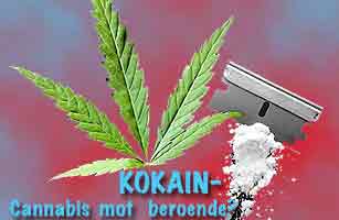 Cannabis kurerar kokaintberoende?